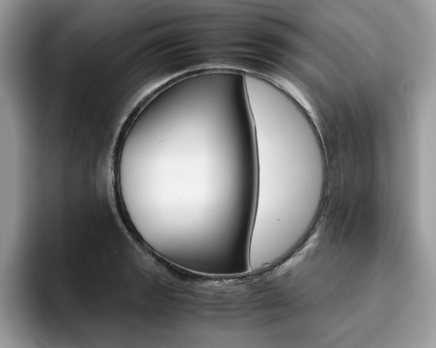 X0000094931133200711290956