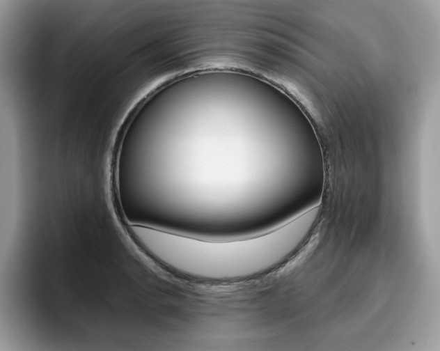 X0000094931134200711290956