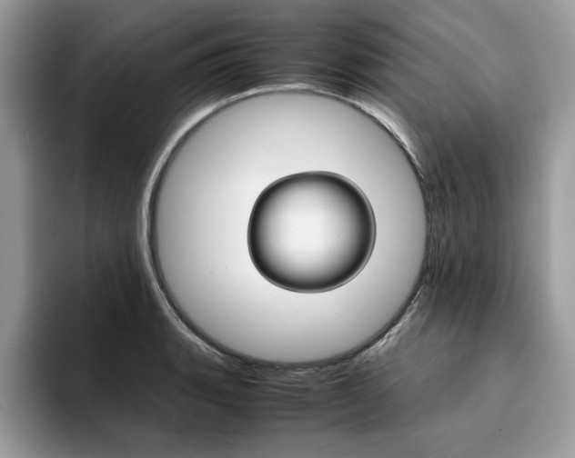 X0000094931135200711290956