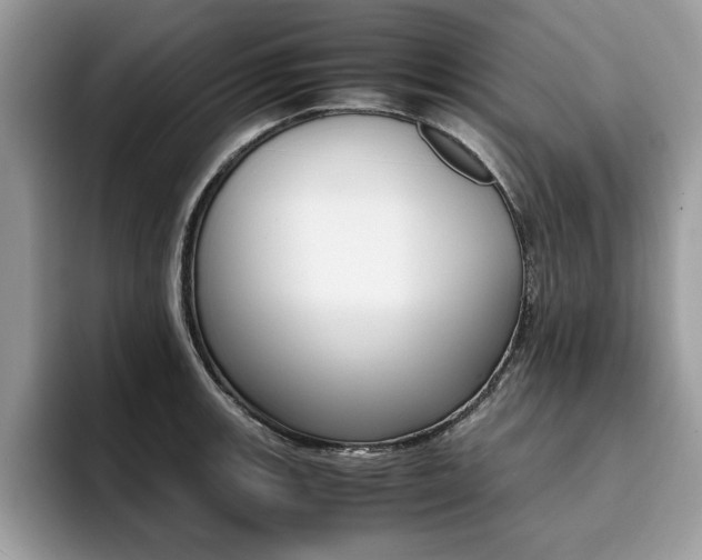 X0000094931139200711290956