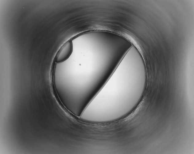 X0000094931141200711290956