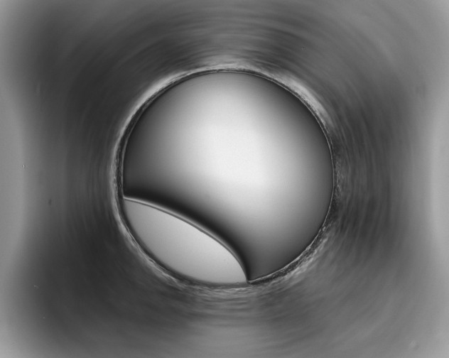 X0000094931142200711290956