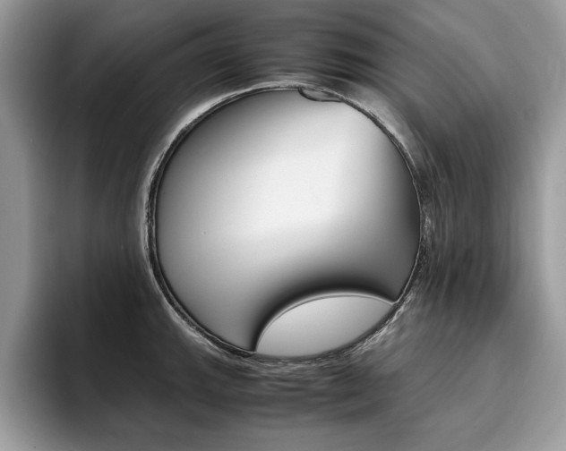X0000094931143200711290956