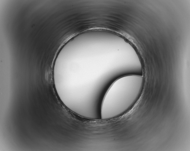 X0000094931145200711290956