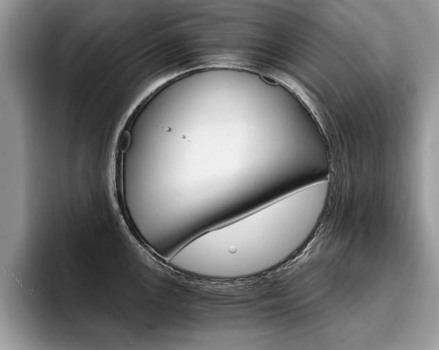 X0000094931147200711290956