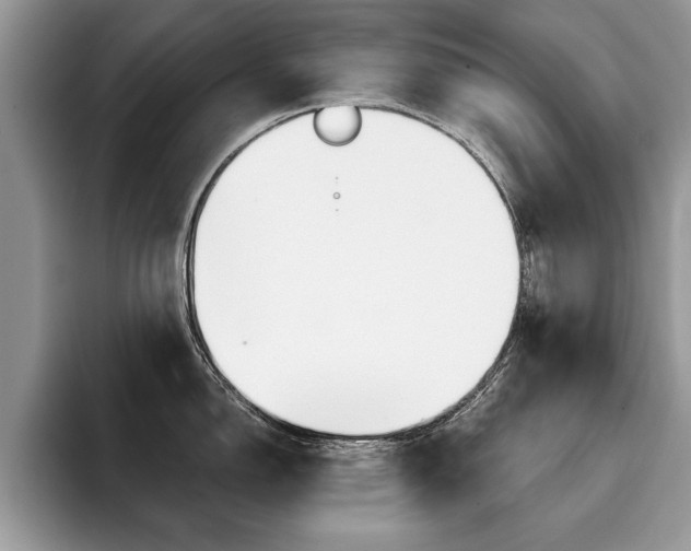 X0000094931150200711290956