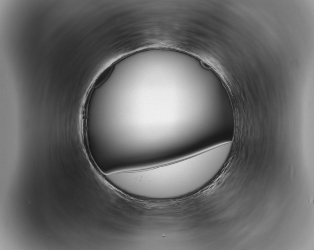 X0000094931151200711290956