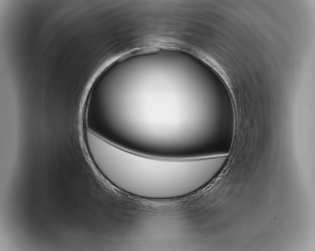 X0000094931152200711290956