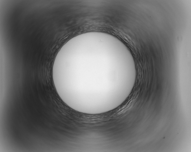 X0000094931156200711290955