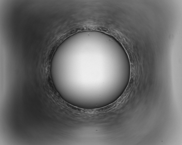 X0000094931157200711290955