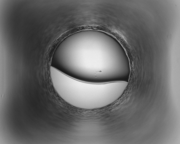 X0000094931159200711290955