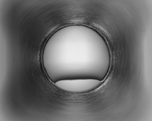 X0000094931162200711290955