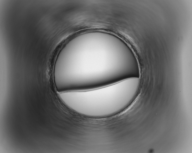 X0000094931163200711290955