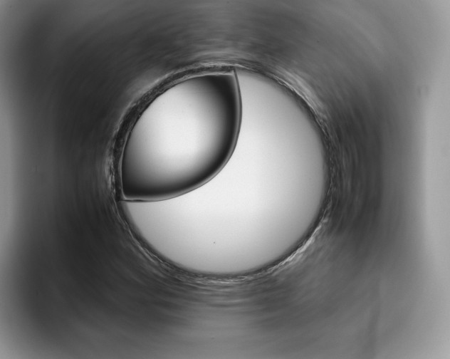 X0000094931164200711290955