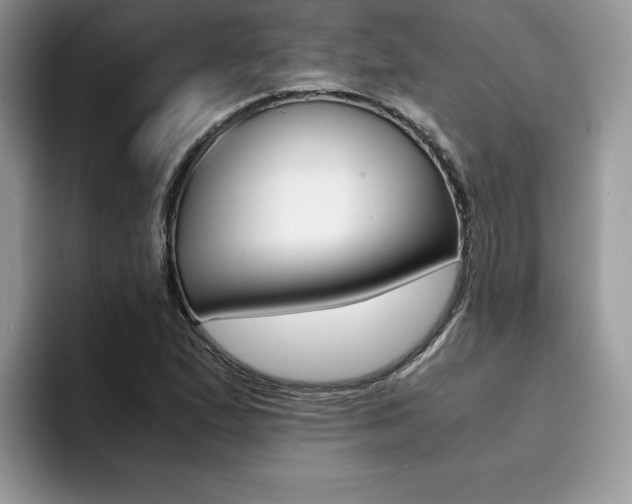 X0000094931167200711290955