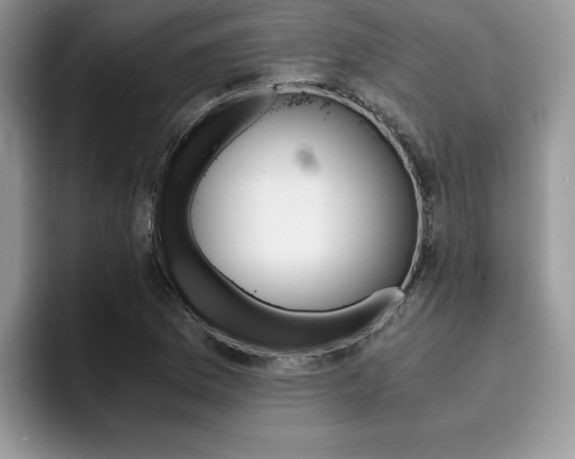 X0000094931169200711290955