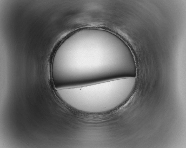 X0000094931171200711290955