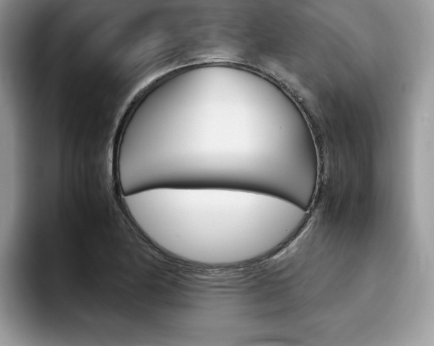 X0000094931174200711290955