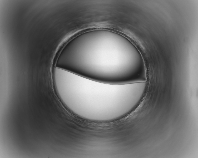 X0000094931176200711290955