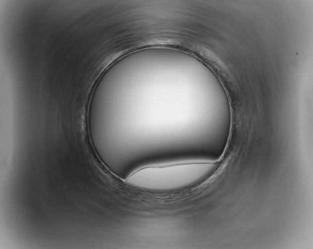 X0000094931177200711290955
