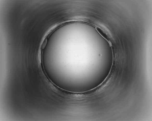 X0000094931180200711290955