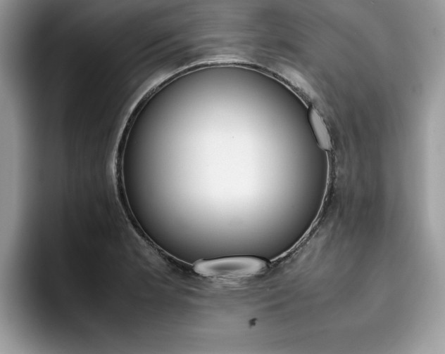 X0000094931181200711290955