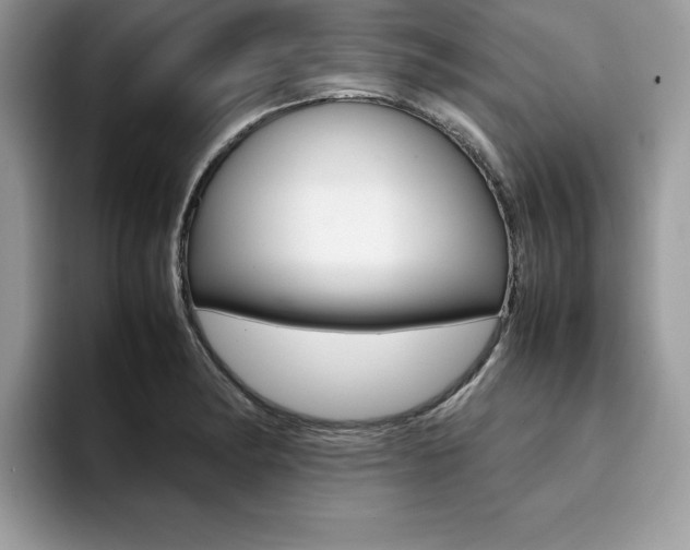 X0000094931182200711290955