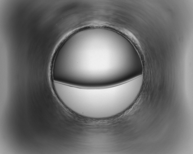 X0000094931183200711290955