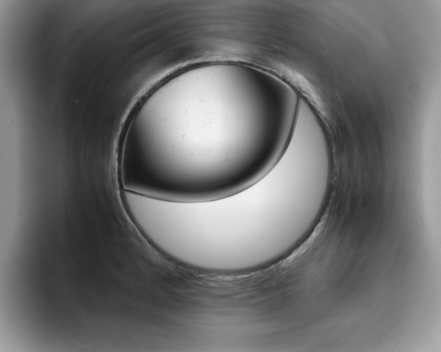 X0000094931184200711290955