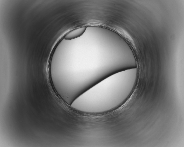 X0000094931190200711290955