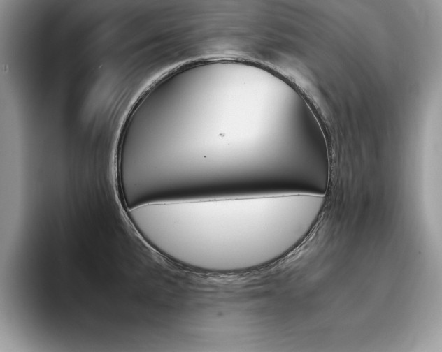 X0000094931191200711290955