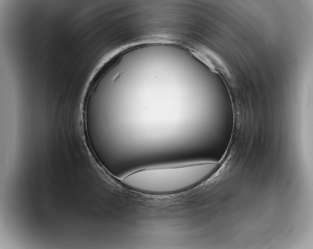 X0000094931192200711290955