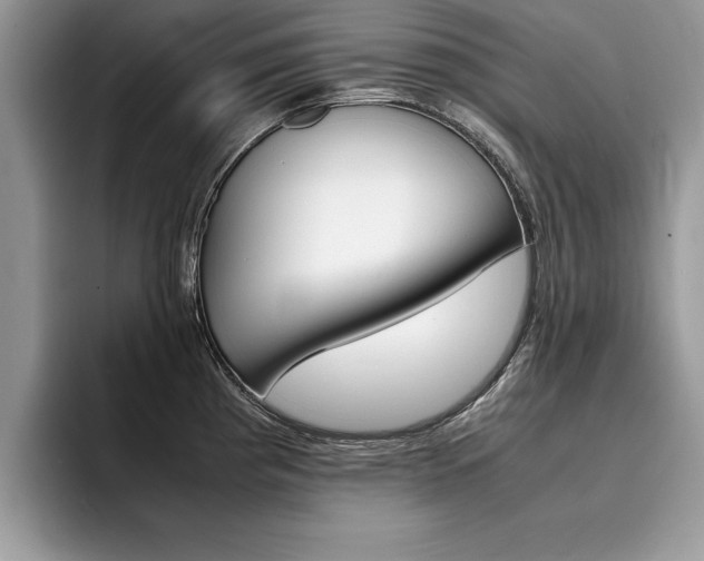 X0000094931193200711290955