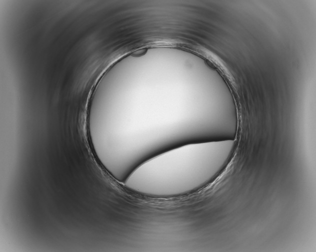 X0000094931194200711290955