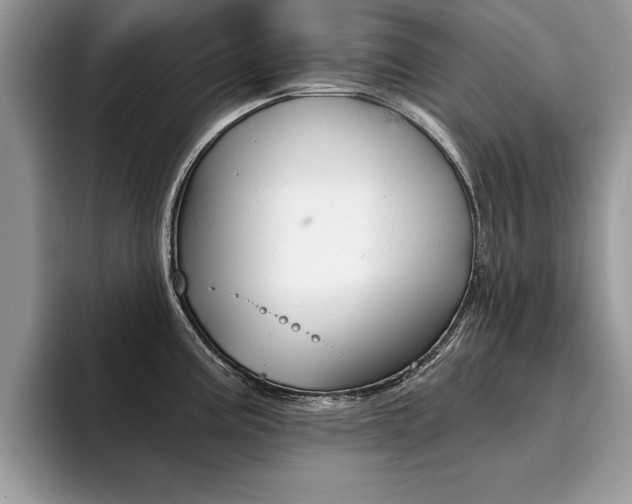 X0000094931195200711290955