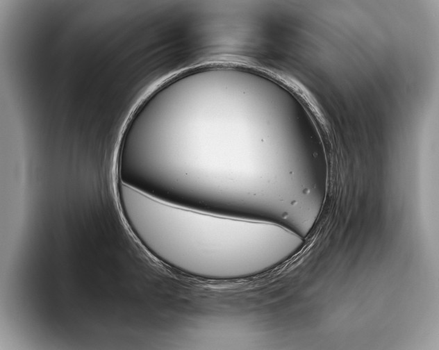 X0000094931199200711290955