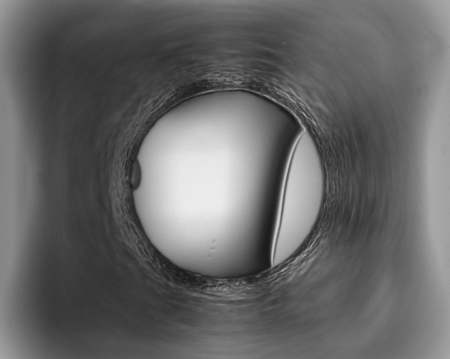 X0000094931201200711290954
