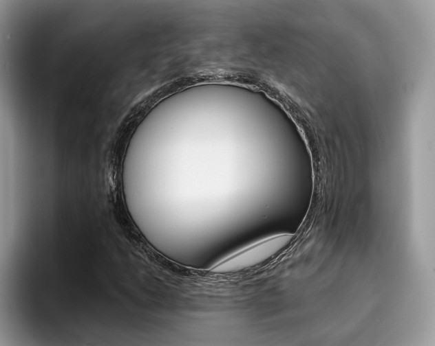 X0000094931206200711290954