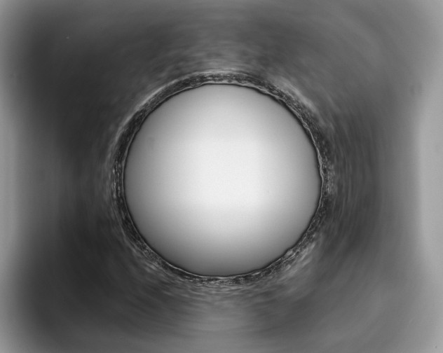 X0000094931208200711290954