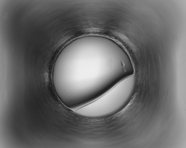 X0000094931209200711290954