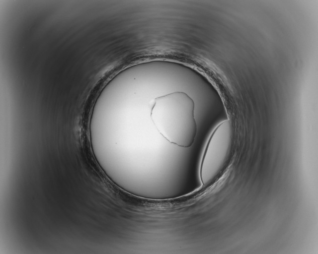 X0000094931210200711290954