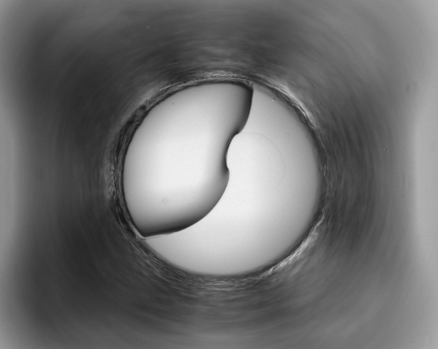 X0000094931211200711290954