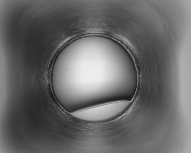 X0000094931212200711290954