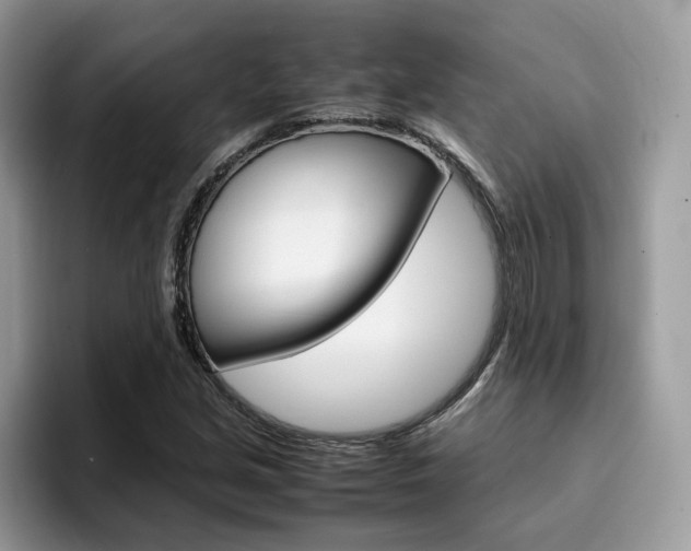 X0000094931213200711290954