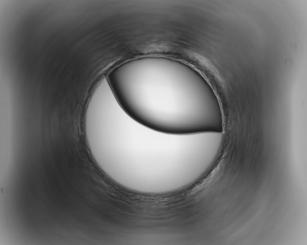 X0000094931217200711290954