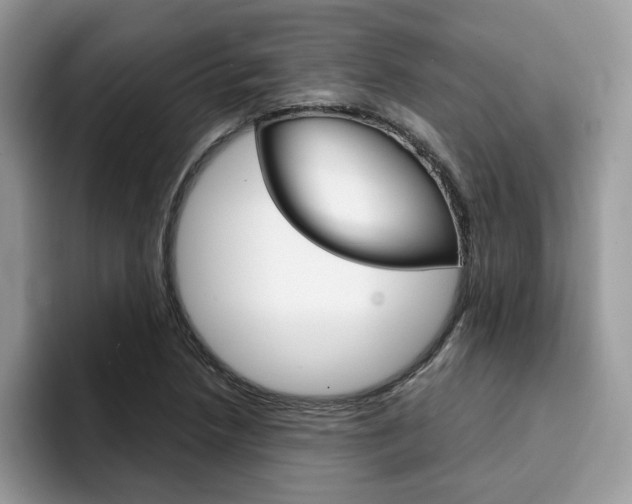 X0000094931218200711290954