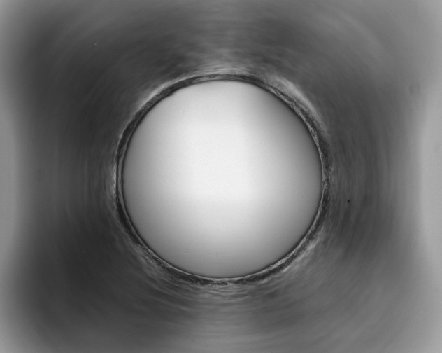 X0000094931220200711290954