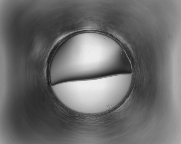 X0000094931222200711290954