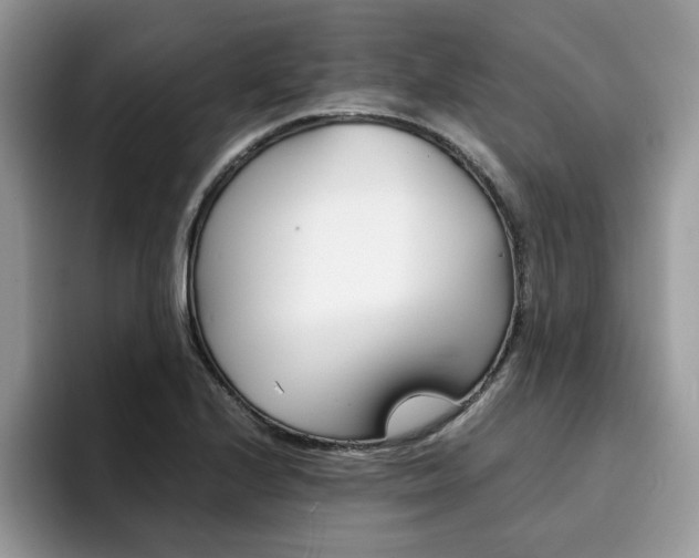 X0000094931224200711290954