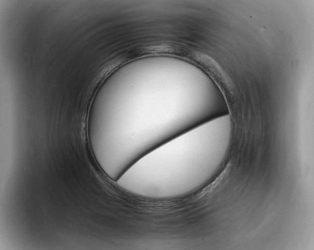 X0000094931225200711290954